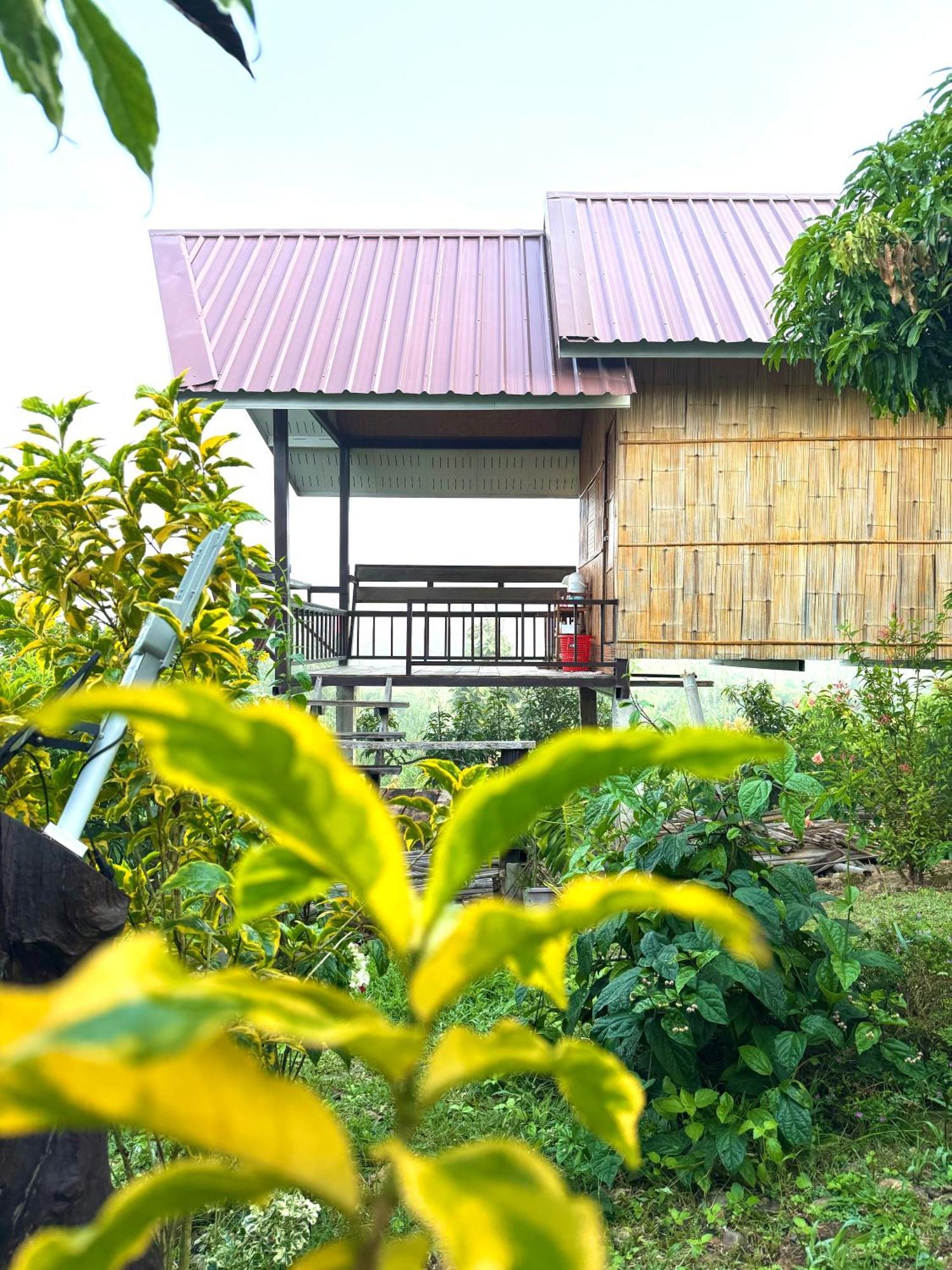 Doicherngngam Home Stay Chiang Dao Esterno foto